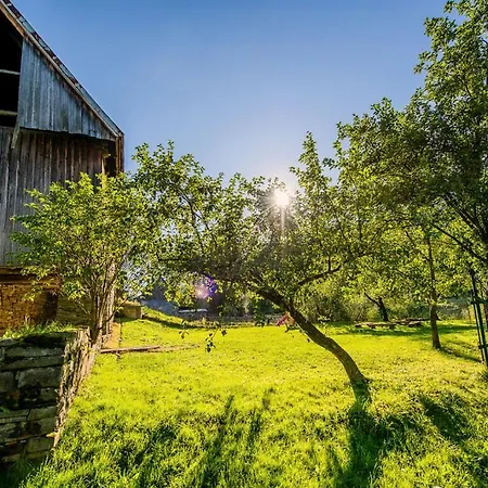شاليه Oravska Drevenicka