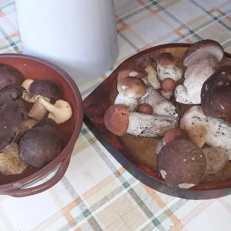 Oravska Drevenicka * Námestovo